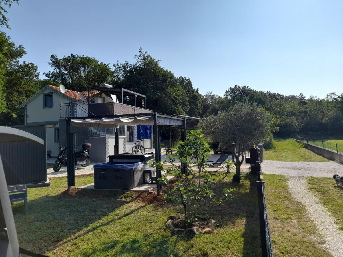 Dari Apartament